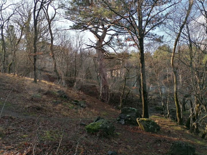 Участок 6,1 сот. (ИЖС)