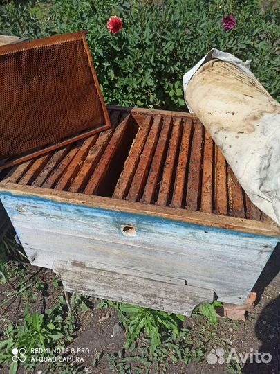 Ульи для пчел, рамки