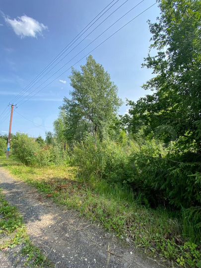 Дача 40 м² на участке 22,7 сот.