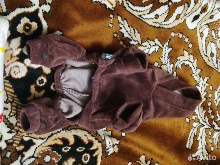 Костюм для собаки