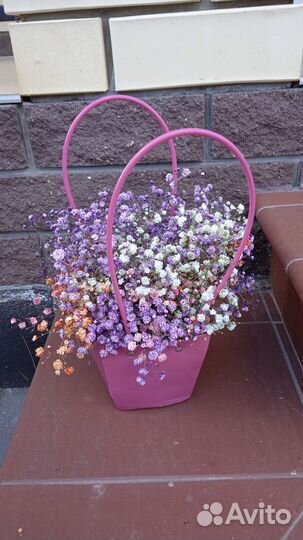 Гипсофила в сумочке