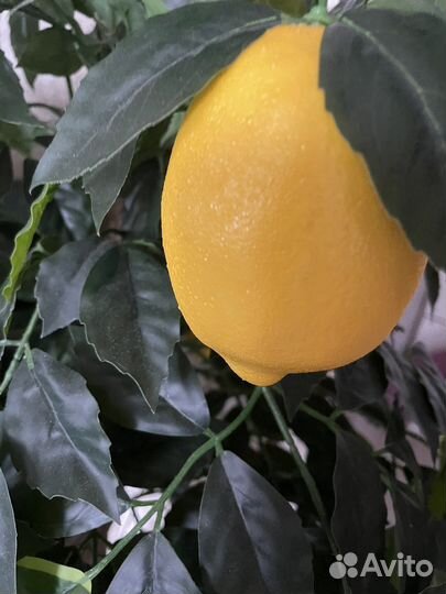 Лимонное дерево с плодами (искусственное)