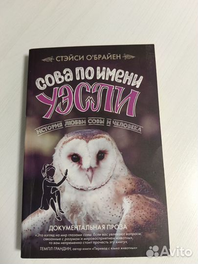 Сова по имени Уэсли Стэйси О'брайен