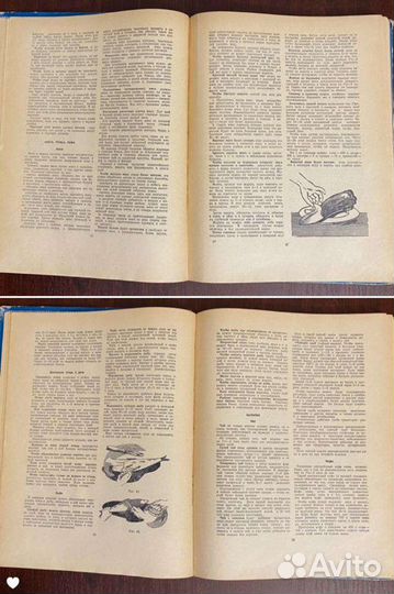 Редкие книги СССР 