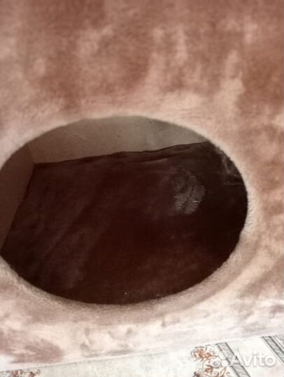 Когтеточка домик для кошки