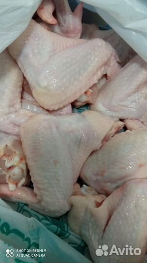 Куриное мясо Халяль(Крылья,бедро, грудка)