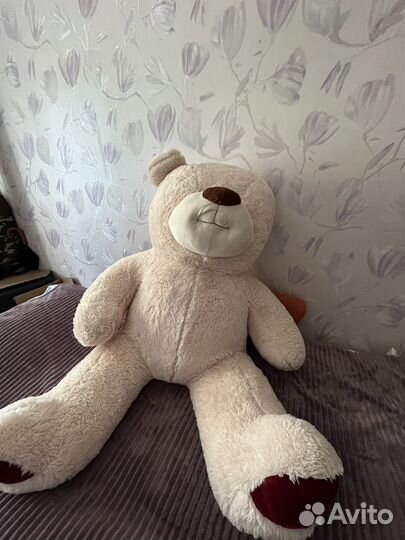 Самый большой плюшевый медведь