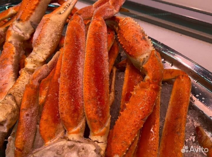 Клешни краба стригуна. Крупные