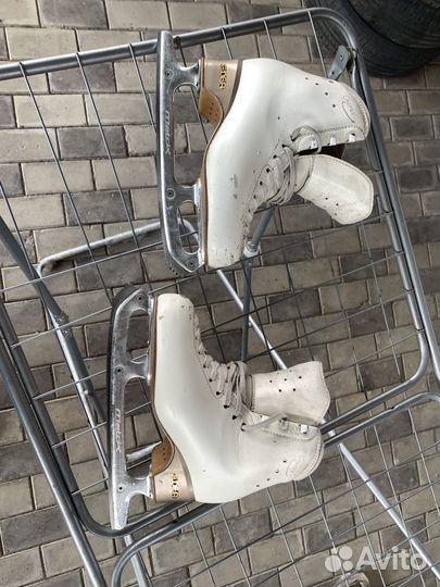 Фигурные коньки edea chorus 235