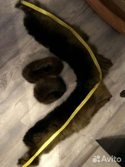 Лисий воротник, шкурка лисы