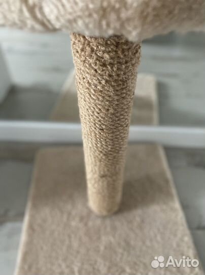 Когтеточка