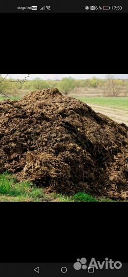 Навоз деревенский