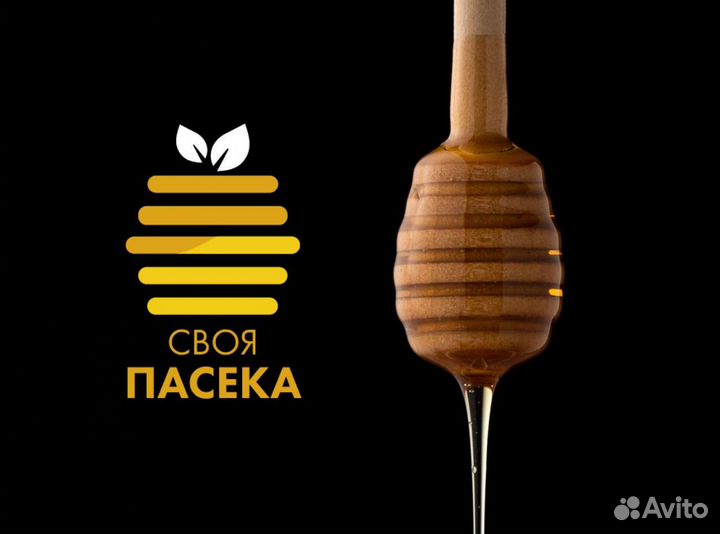 Разработка логотипов, визиток, создание сайта