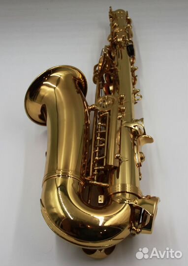 Саксофон ROY benson AS-201