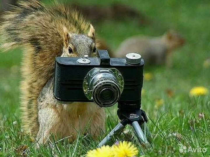 Fujifilm Zoom 70 пленочный фотоаппарат