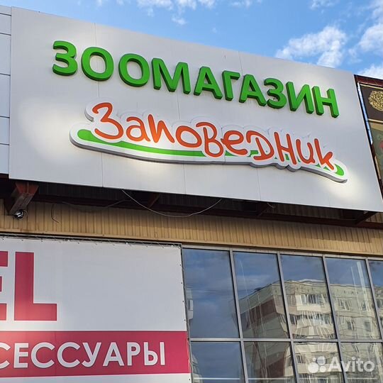 Объёмные световые вывески