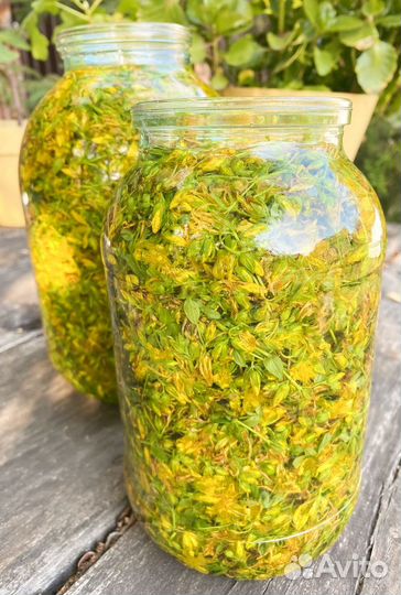 Зверобойное масло