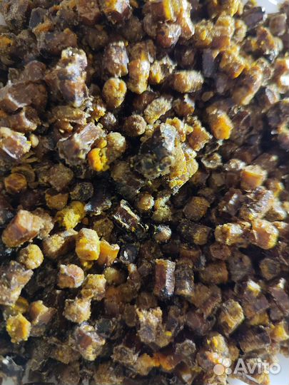 Перга пчелиная