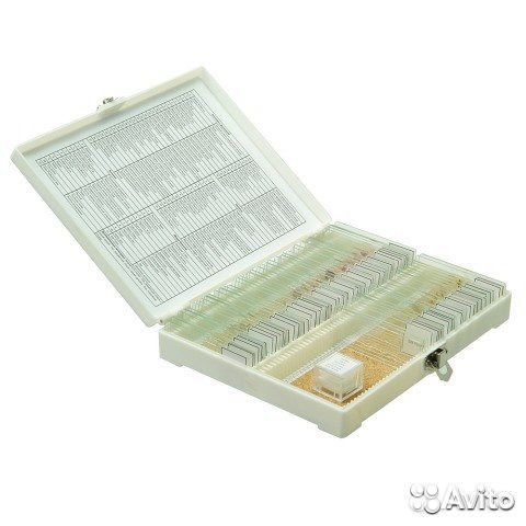 Микроскоп, набор препаратов N80