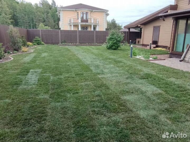 Полевой рулонный газон универсал опт