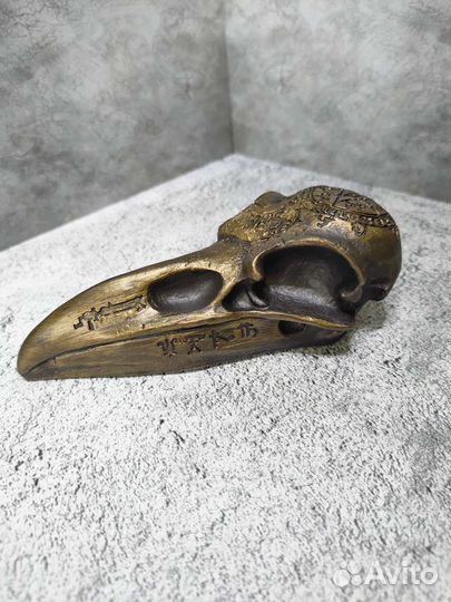 Гипсовая статуэтка Череп ворона