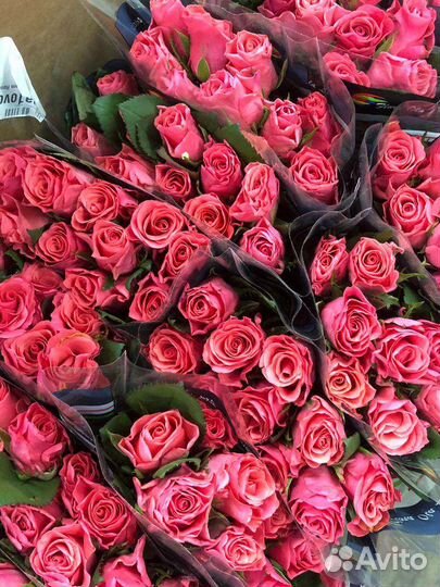 Розы мелкий опт