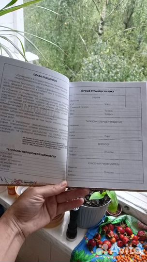 Дневник школьный новый