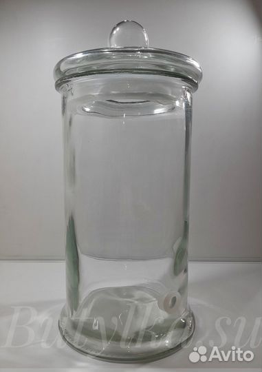 Лимонадник 