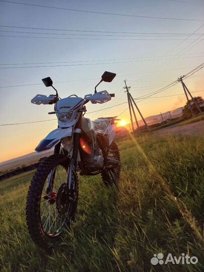 BSE Z3 Y