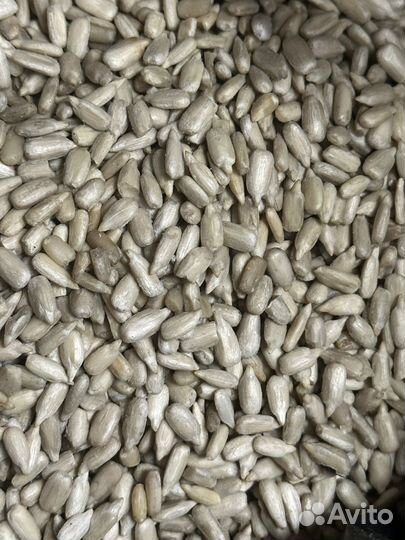 Ядро подсолнечника