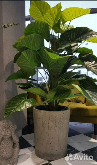 Кашпо напольное из бетона для цветов с доставкой