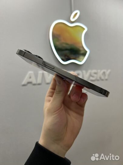 iPhone 13 Pro, 256 ГБ