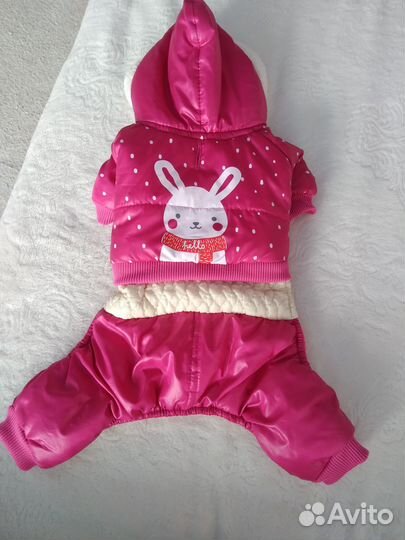 Одежда для собак мелких пород