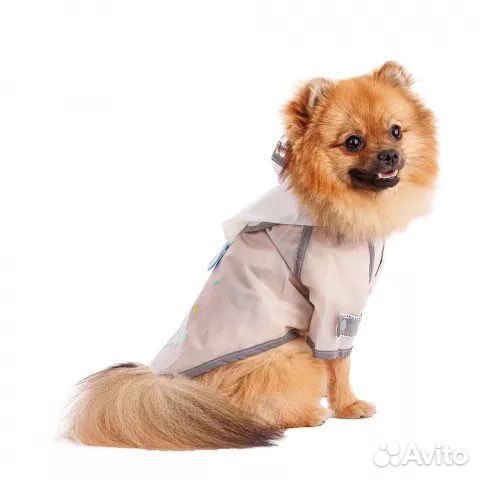 Дождевик для собаки