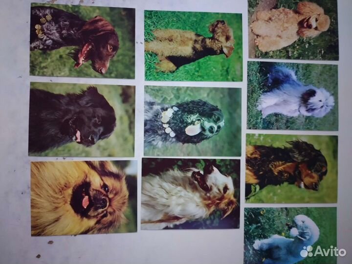 Набор открыток