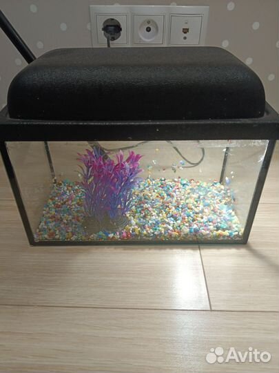 Аквариум