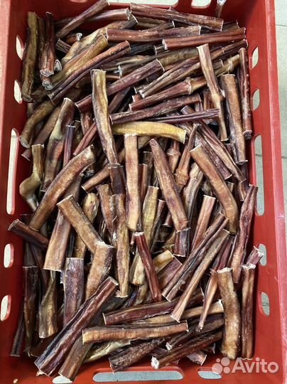 Бычий корень для собак