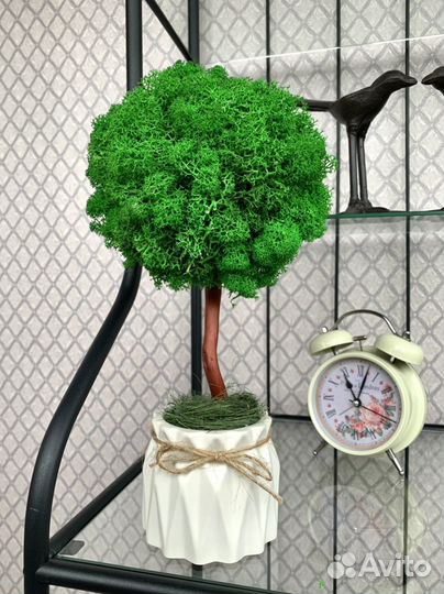 Дерево из стабилизированного мха