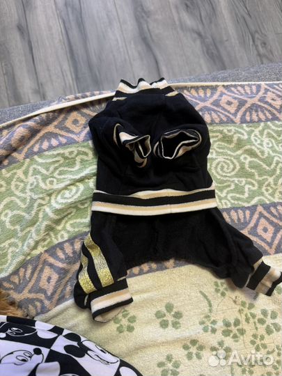 Одежда для собак