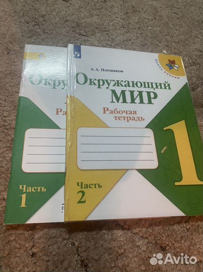 Рабочая тетрадь плеханов окружающий мир