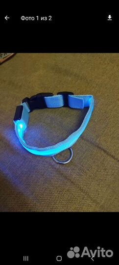 Ошейник для собак