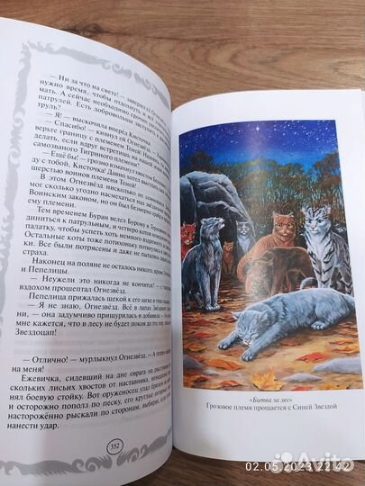 Книги Коты воители подарочное издание