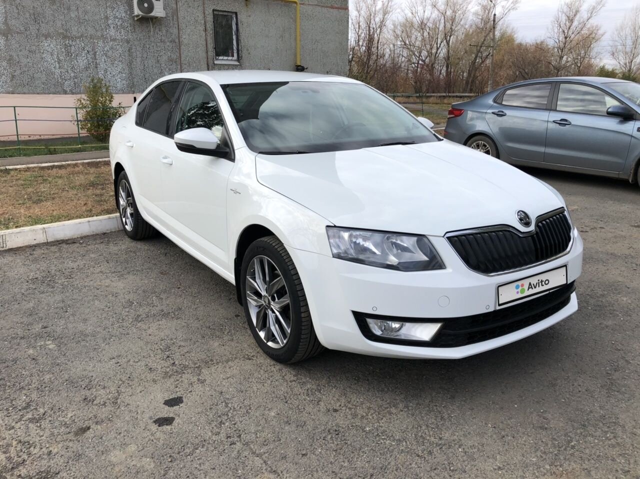 Skoda Octavia: фото владельца