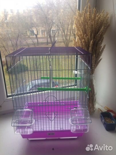 Клетка большая,читаем описание