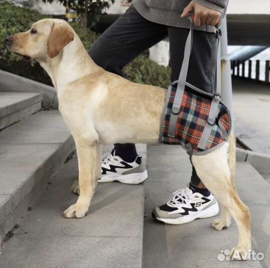 Поддержка для собак