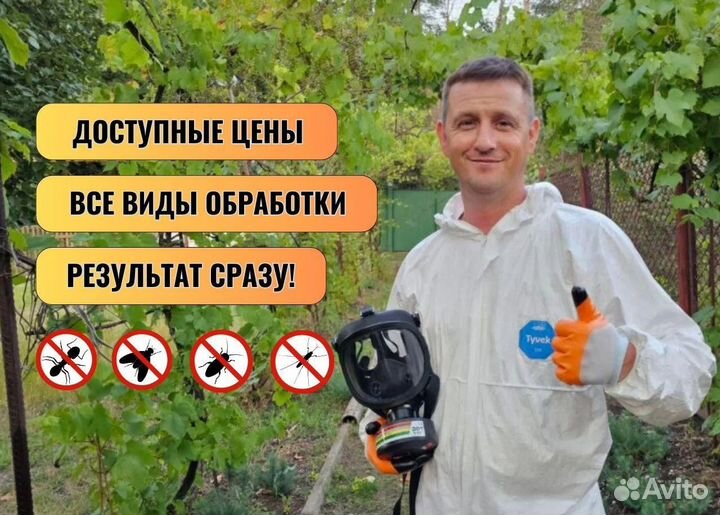 Обработка участков от ос клещей Лечение деревьев