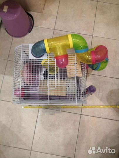 Клетка для грызунов бу