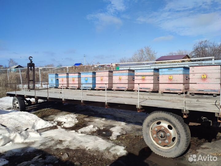 Пчелиные ульи и пчеловодческий прицеп