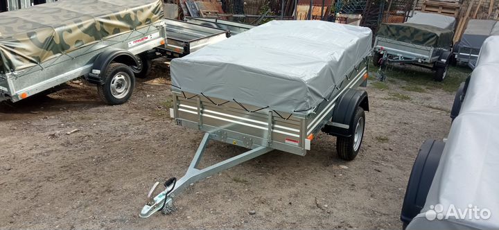 Спутник Эксперт 2,0 х 1,3 33 цинк