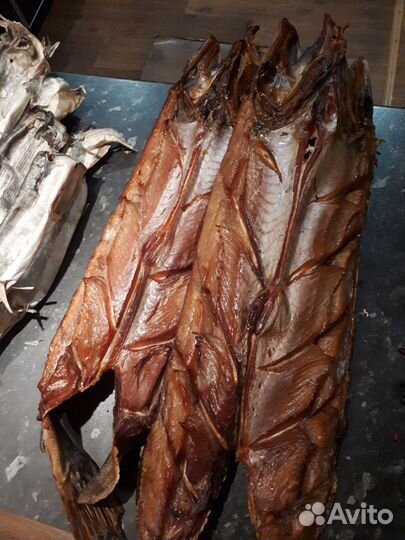 Рыба копченая. Кета, щука, горбуша,скумбрия и др